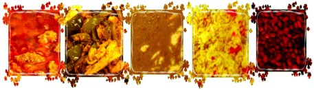 Food from Fiesta for Life 2007