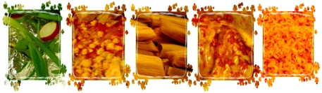 Food from Fiesta for Life 2007