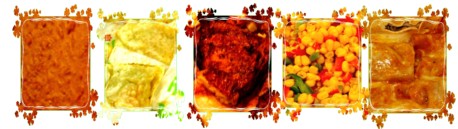 Food from Fiesta for Life 2007