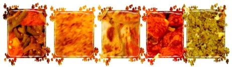 Food from Fiesta for Life 2007