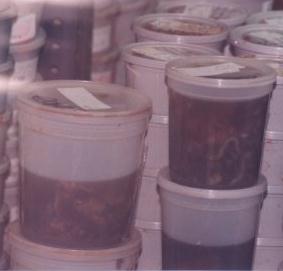 Buckets filled with dead babies, the result of FPA's business